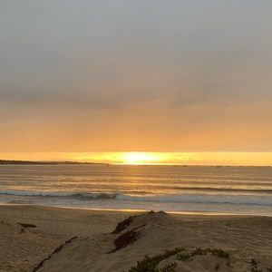 Meet your Posher, Addie